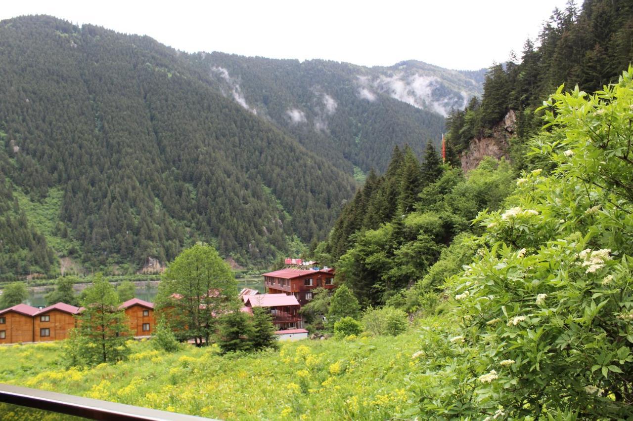 Faraksi Bungalow & Otel Uzungöl Extérieur photo