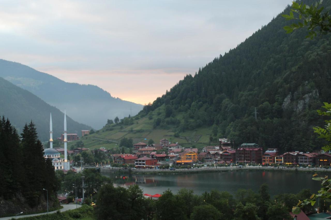Faraksi Bungalow & Otel Uzungöl Extérieur photo