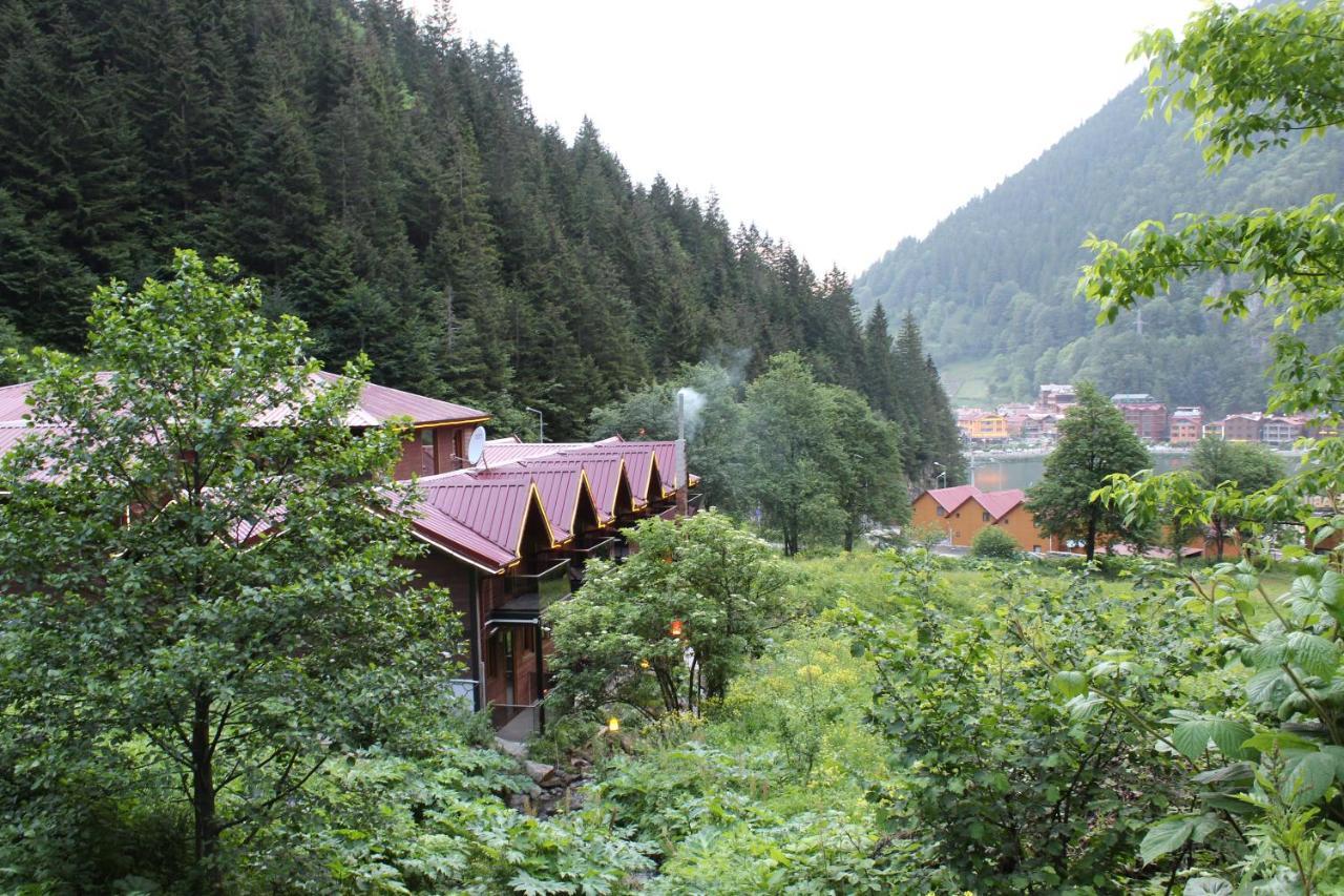 Faraksi Bungalow & Otel Uzungöl Extérieur photo