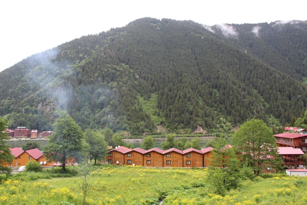 Faraksi Bungalow & Otel Uzungöl Extérieur photo