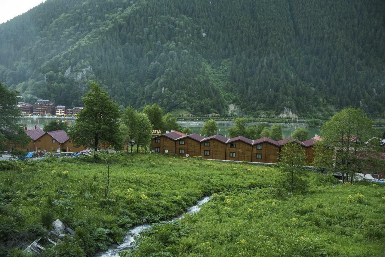 Faraksi Bungalow & Otel Uzungöl Extérieur photo
